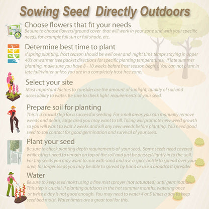 Outsidepride Annual Sun Wild Flower Seed Mix - 1 lb Premium Blend of Annual Wildflower Seeds for Sunny Locations, Vibrant & Easy-to-Grow, Attracts Pollinators, Ideal for Home Gardens & Floral Displays