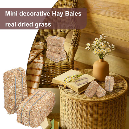 Yiksonyo 12 PCS Mini Decorative Hay Bales & 12 PCS Twisted Hemp Rope, Perfect for Table Centerpieces, Fall & Halloween Crafts, and Rustic Decor