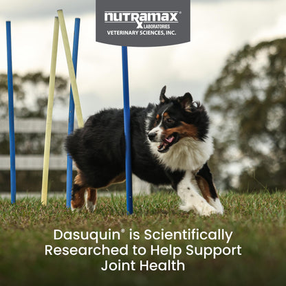 Nutramax Laboratories Dasuquin with MSM Soft Chews Large Dog 84 Count, brown