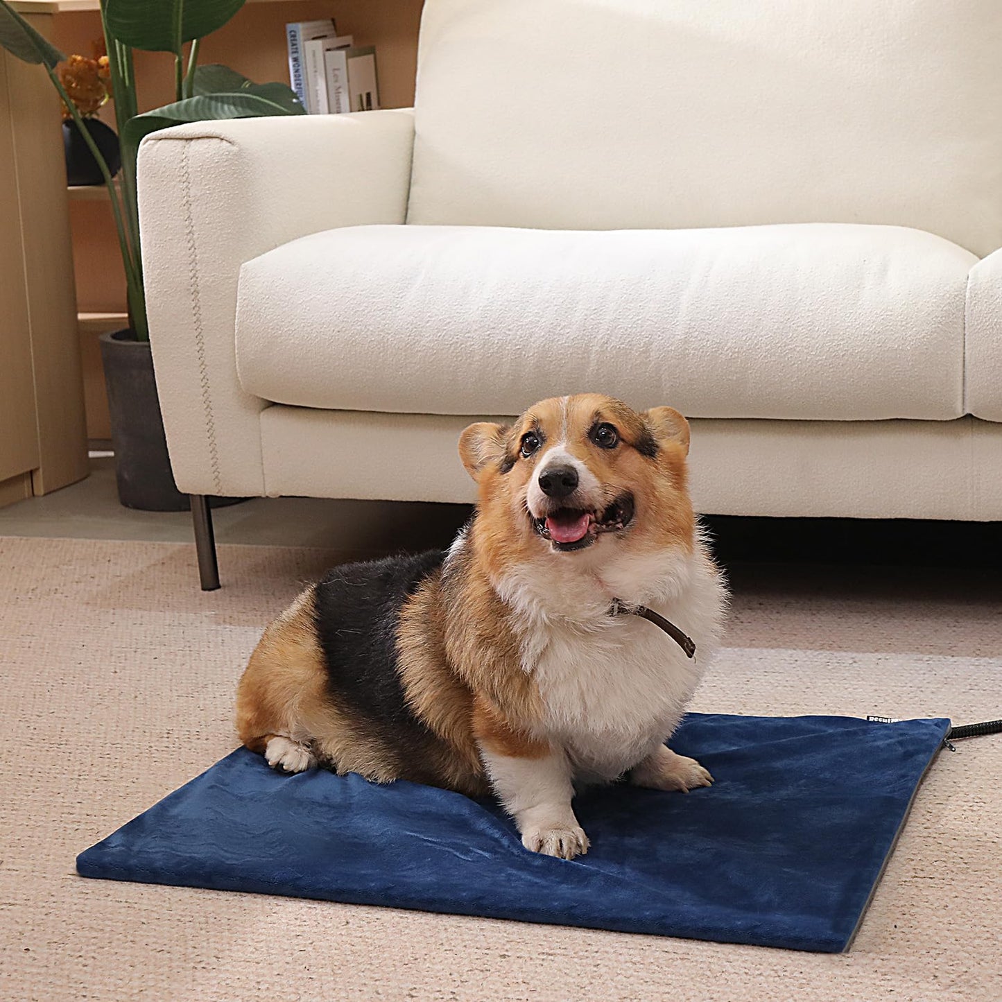 Pecute Cat Heating Pad Indoor, 6 Adjustable Temperature with Timer, Dog Heating Pad with Dual-Resistant Cable, Waterproof Layer, Heated Cat Bed Mat Blanket, Electric Pet Heated Pads for Cats Dogs
