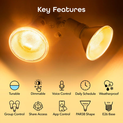 Geeni LUX Smart Floodlight, White – Outdoor 2700K-6500K Dimmable LED Bulb, E26, PAR38, 11W, 1000 Lumens – No Hub Works with Amazon Alexa, Google Assistant, Requires 2.4 GHz Wi-Fi