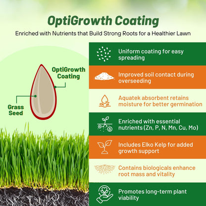 Outsidepride SPF-30 Hybrid Bluegrass Seeds - 25 lbs. Heat & Drought Tolerant, Texas Bluegrass & Kentucky Bluegrass Seed Mix for Challenging Climates, OptiGrowth Coated for Better Establishment