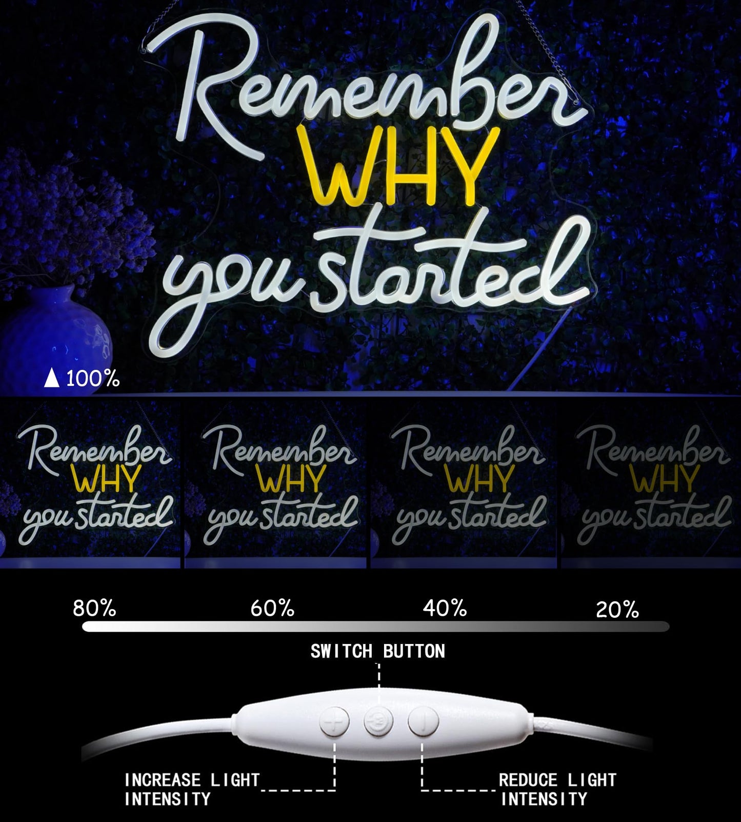 Remember Why You Started Neon Sign Led Light, Neon Wall Sign For Bedroom, Office, Study Room, Gaming Room, Motivational Wall Art Birthday Christmas Gift For Friends
