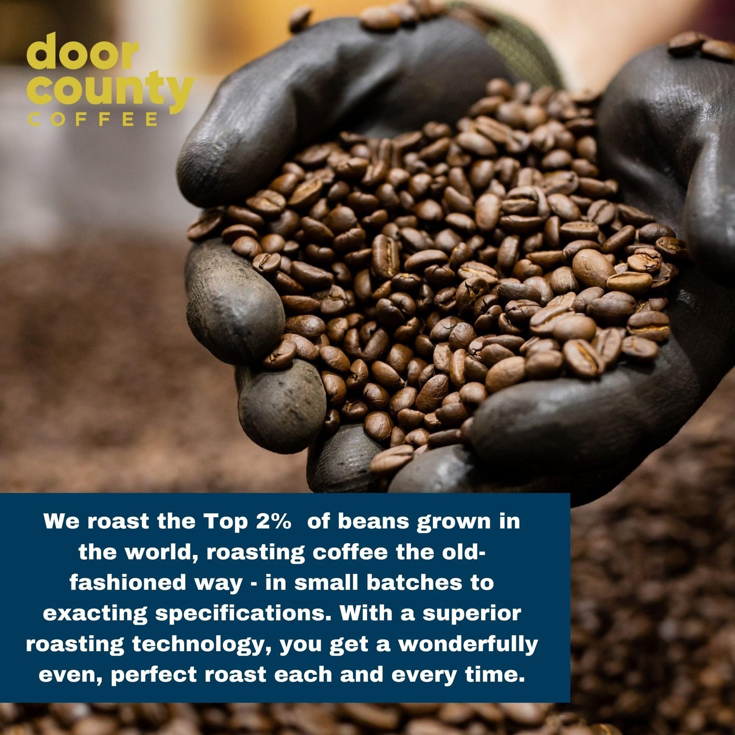 Door County Coffee Wisconsin Harvest Blend Flavored Coffee Ground - 8 oz Bag - Fall Seasonal - Medium Roast - 100% Specialty Arabica - Roasted Chestnuts & Toasted Pralines