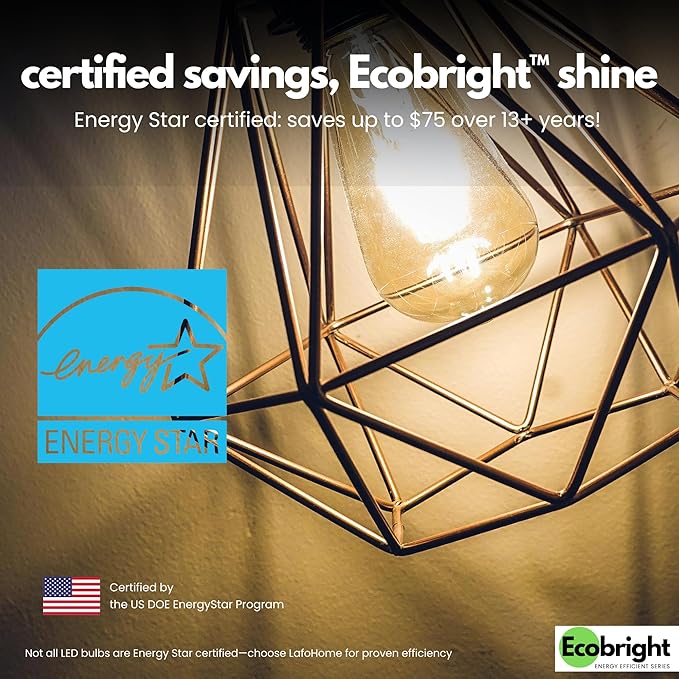 EcoBright ST19/ST64 LED Filament Bulbs, Dimmable, 60W Equivalent, 9W, 800 Lumens, 2700K Warm White, CRI90+, E26 Base, Flicker-Free, Edison Chandelier, ETL/FCC Certified (12 Pack)