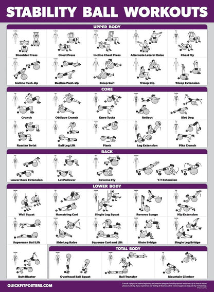 Palace Learning 2 Pack - Yoga Ball Workout Exercises Volume 1 & Volume 2 - Stability Ball Routine - Fitness Charts (18" x 24", Laminated)