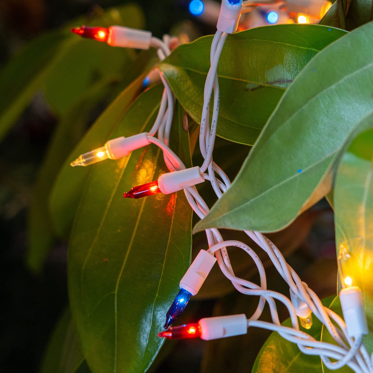 Dazzle Bright 4th of July Lights, 20FT 100 Count Independence Day Mini String Lights Plug in Waterproof Christmas for Outdoor Indoor Home Party Decorations, Red Blue and White