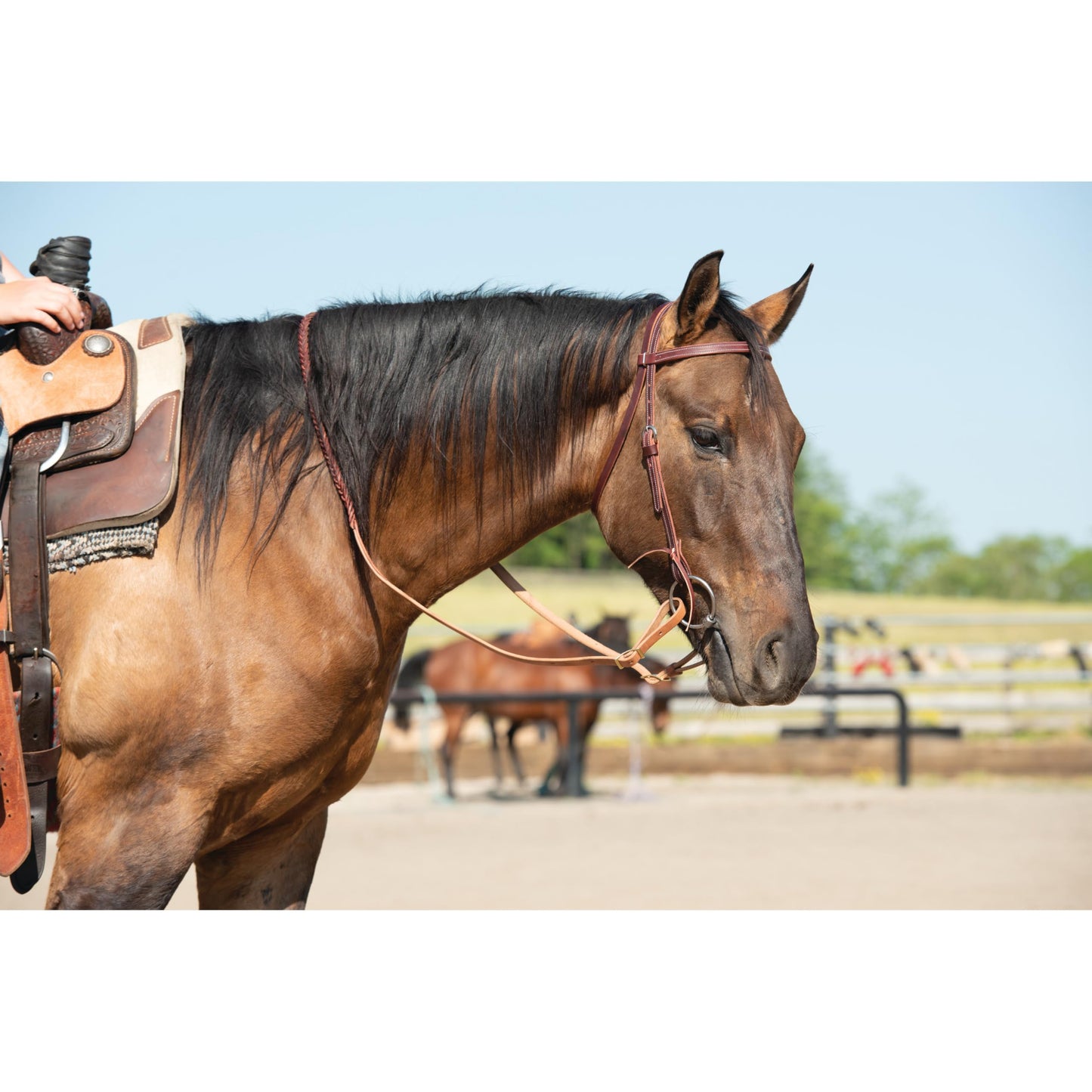 Weaver Leather Latigo Leather Browband Headstall,Burgundy