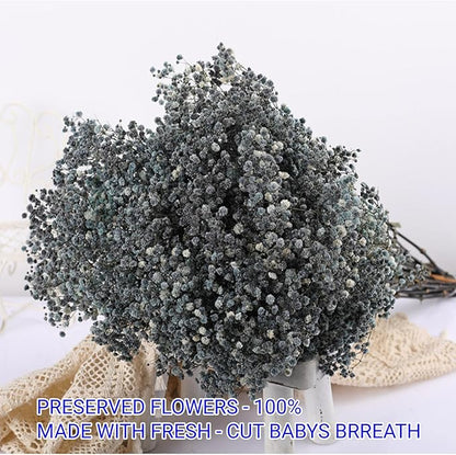 Dried Babys Breath Flowers Bouquet-17 Inch 2500+ Black Dried Flowers, Natural Dry Flowers for Wedding Flowers, Table Vase Decor, DIY Wreath Floral, Home Office Party Garden Decoration