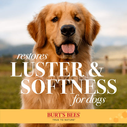 Burt's Bees for Pets Double Sided Pin & Hemp Bristle Dog Brush | Best All-Purpose Dog Brush to Reduce Shedding | for Long & Short Haired Large Dogs, Bamboo (Pack of 1)