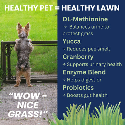 Under the Weather Nice Grass Chews for Dogs | Digestive Enzymes for Dogs | Canine Urine Neutralizer for Grass | Probiotics for Digestive Health | Vet Formulated Lawn Care Supplement | 60 Count