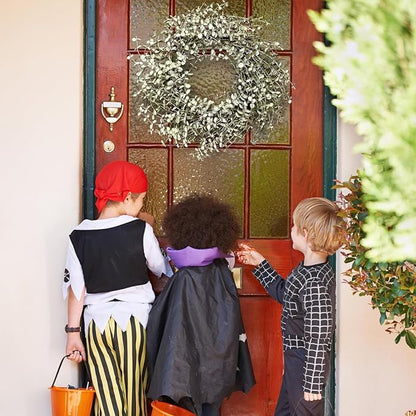 26 Inch Fall Wreath for Front Door Large Eucalyptus Wreaths with Mini White-Green Leaves, Autumn Greenery Wreath on Grapevine for Fall Door Decor Farmhouse Wall Window Home Decoration