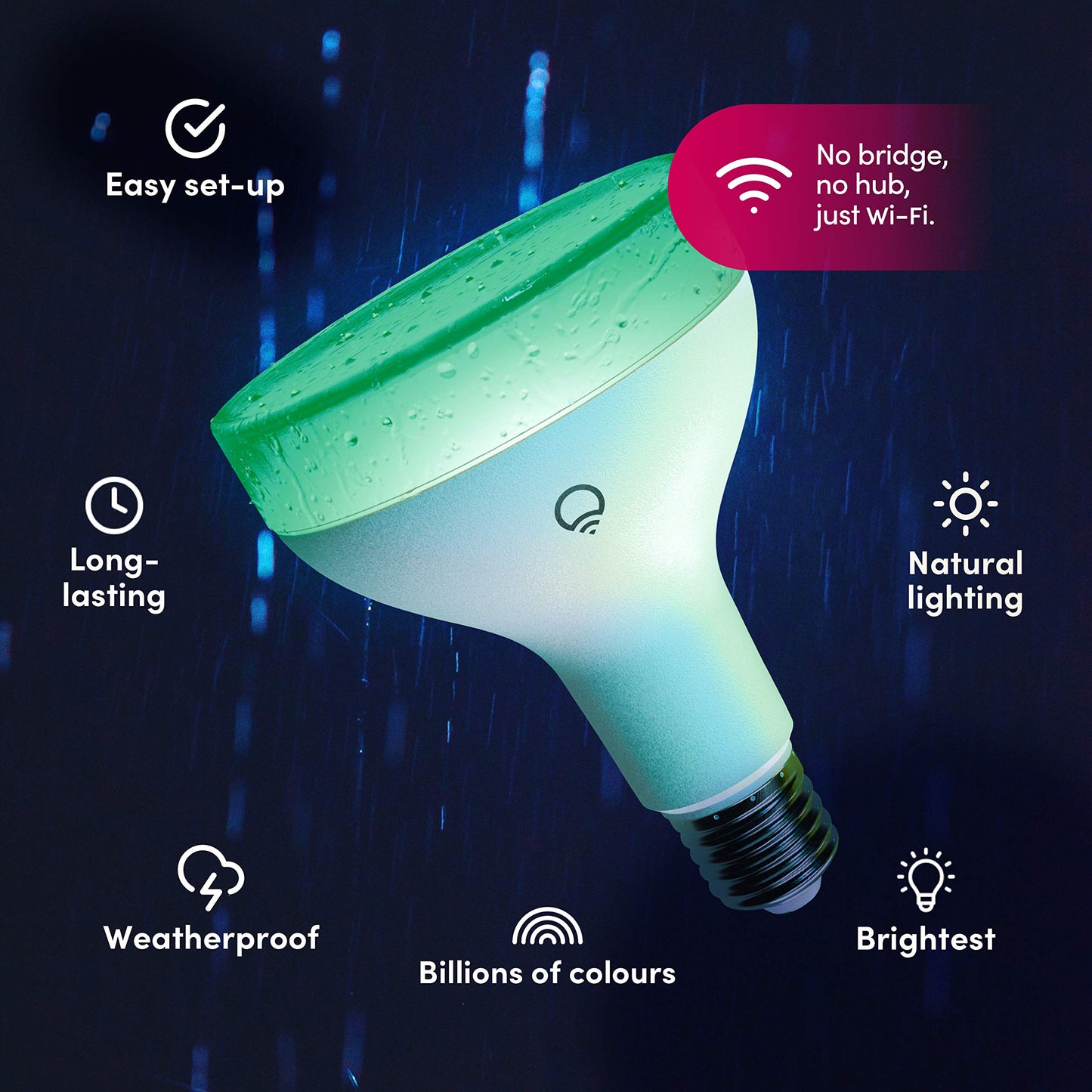 BR30 Smart Light