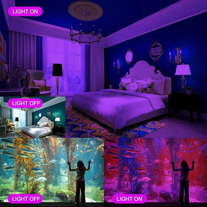 Black Lights HWay 200W LED Black Purple Lights Flood Light with Plug(6ft Cable) for Blacklight Party, Stage Lighting, Aquarium, Body Paint, Fluorescent Poster, Neon Glow in The Dark Night