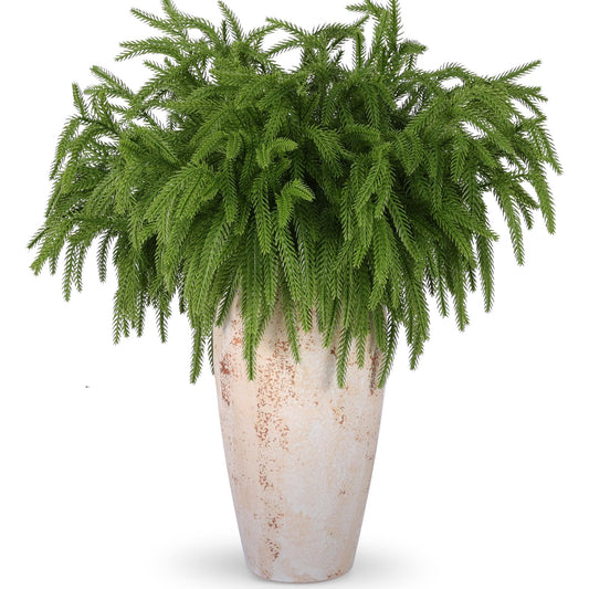 Rowfad 24 Pcs Artificial Norfolk Pine Branches, Faux Norfolk Pine Stems DIY Crafts Faux Christmas Norfolk Pine Branches for Xmas Indoor Outdoor Home Decor (24)