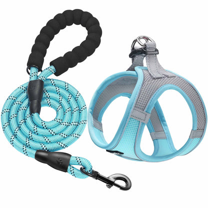 haapaw Dog Harness with Leash Set, No Pull Adjustable Reflective Step-in Puppy Harness with Thickened Padded Vest for Extra-Small/Small Medium Dogs