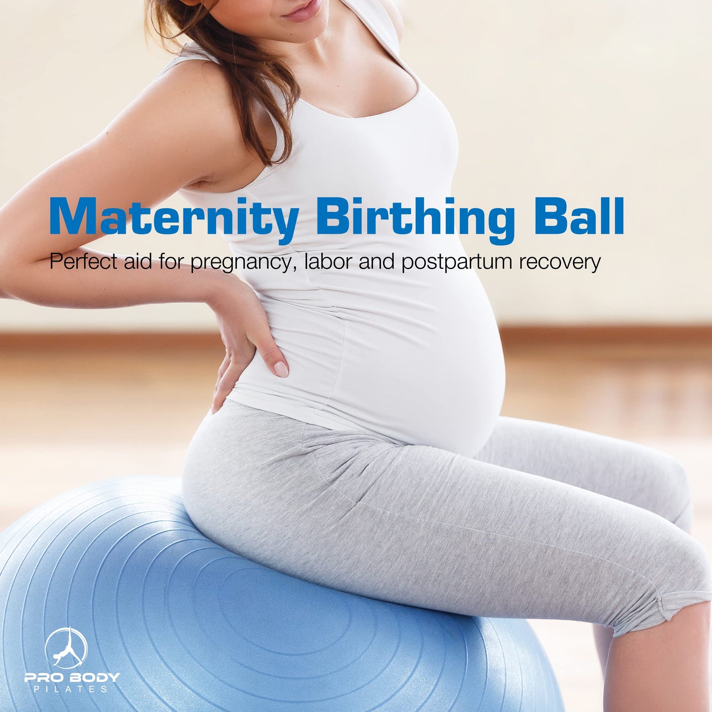 ProBody Pilates Yoga Ball - Fresh Colors Exercise Ball for Stability, Pregnancy, Workout, Physical Therapy & Birthing, Balance Ball Chair (Slate, 65 cm)