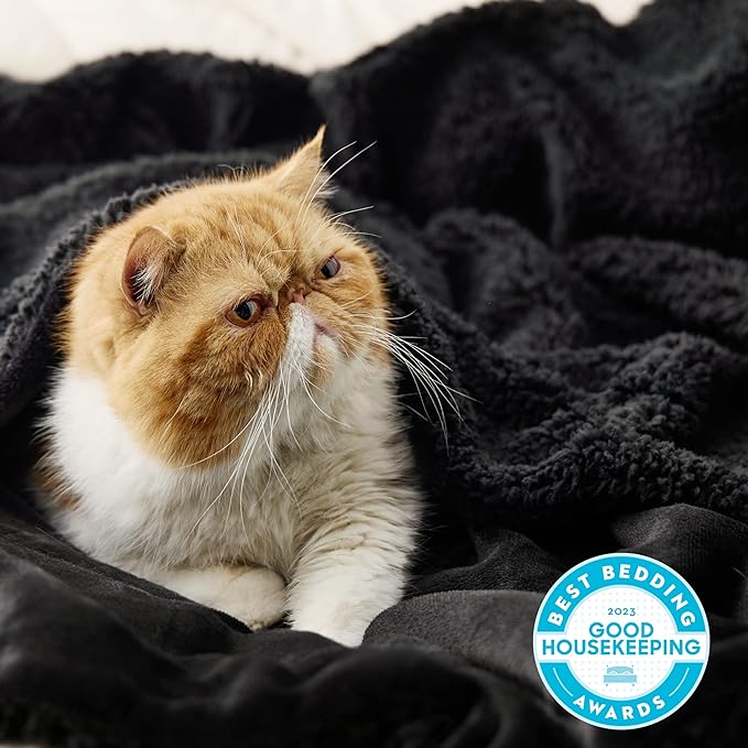 Bedsure GentleSoft Sherpa Fleece Throw Blanket Twin Size for Couch - Thick and Warm Throw for Men, Soft Fuzzy Plush Twin Blanket for Winter, Black, 60x80 Inches