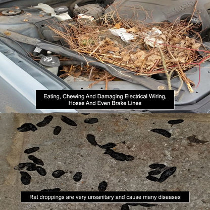 Mice/Mouse, Rat, Squirrel & Rodent Wire, Engine & Vehicle Protection Spray Prevents Chewing & Nesting for Cars, Trucks, RV’s, ATV’s. Great for Winter Protection. Ready to Use (128 Oz Gallon)