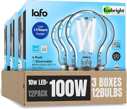 EcoBright 12PK Dimmable A19 LED Filament Bulb, 10W (100W Equivalent), E26 Base, 1100 Lumens, CRI90+, Flicker-Free Clear Glass, Energy Star Title 20, Daylight 5000K