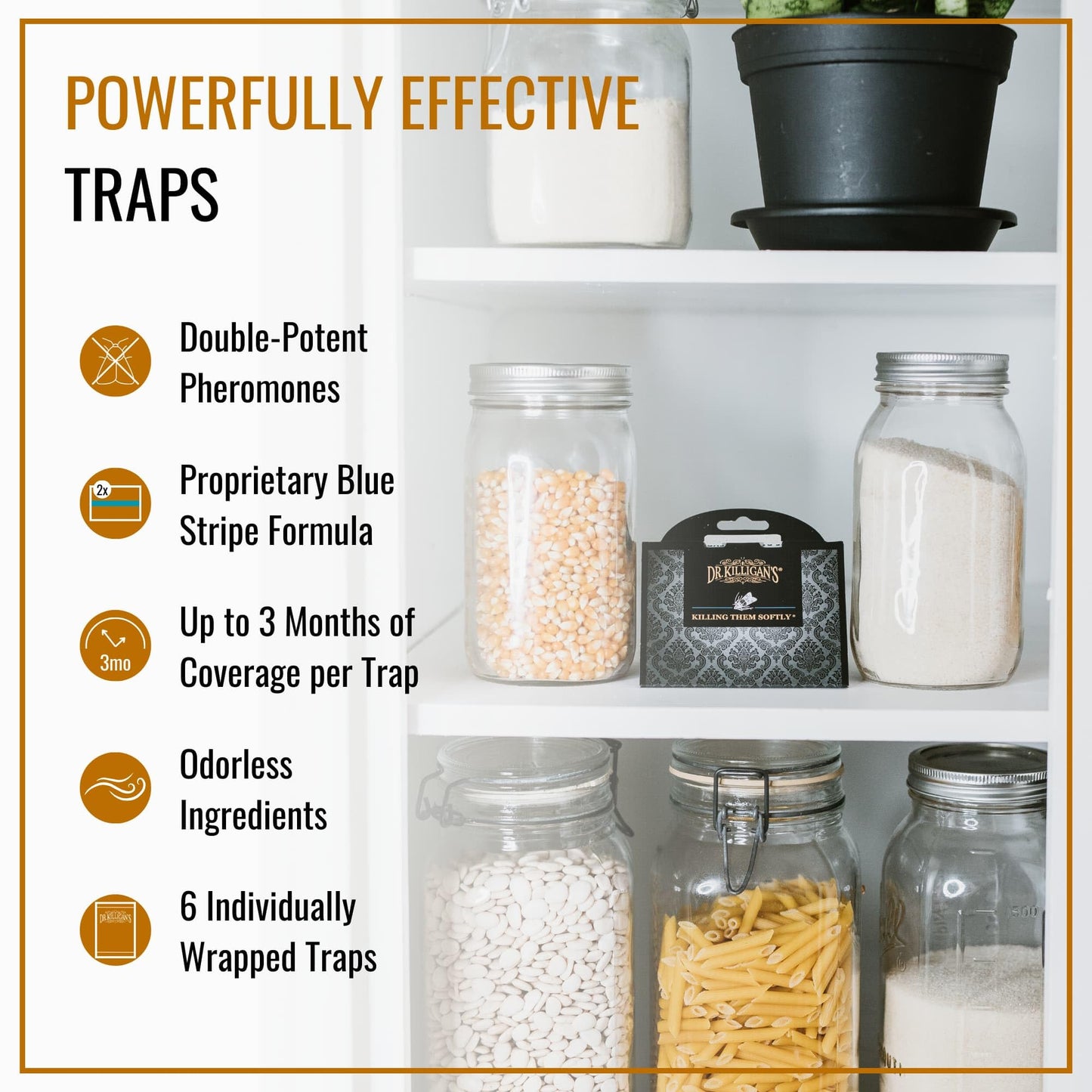 Dr. Killigan's Premium Double Potent Pantry Moth Traps with Pheromones Prime, Sticky Indian Meal Moth Traps for Kitchen, How to Get Rid of Moths in House, Organic Moth Pheromone Traps (6 Pack, Black)