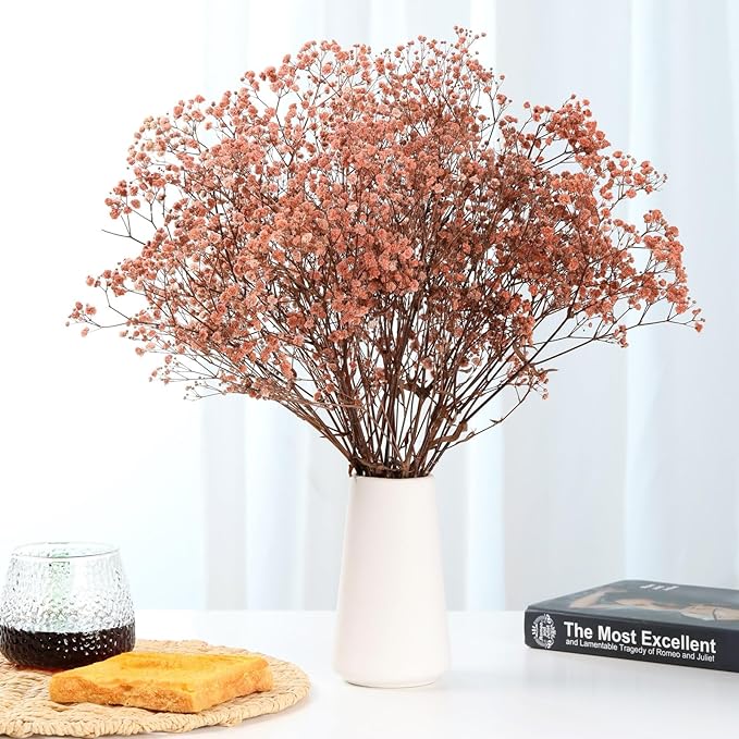 Babys Breath Dried Flowers Bouquet-17'' 4500+ Ivory Dry Flowers, Natural Gypsophila Branches for Wedding, Home Table Vase Decor, DIY Wreath Floral, Fall Thanksgiving Autumn Decoration (Brown, 5oz)