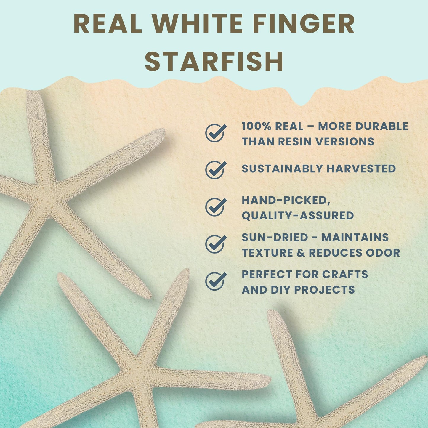 Starfish Decor - Star Fish for Craft - 10pk Uniquely Shaped 6-8" White Real Sea Stars - Beach Wedding Decor - Coastal Party Decorations