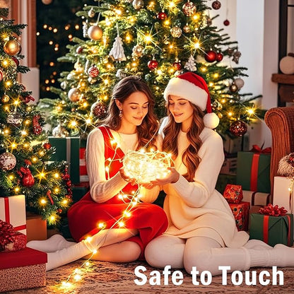 SAUIRS 60FT 160 LED Christmas Lights Outdoor String Lights with 8 Modes Timer Waterproof Fairy Light Plug in for Outside Indoor Party Xmas Palm Tree Yard Wedding Decorations(Warm White)