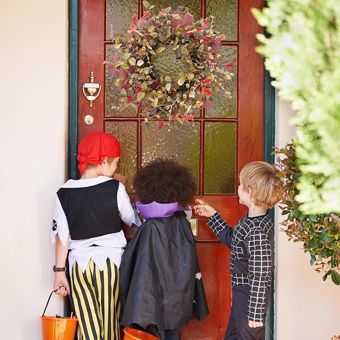 22 Inch Fall Wreath for Front Door Berry Autumn Wreath with Green and Purple Leaves, Large Grapevine Wreaths for Fall Door Decor Farmhouse Wall Window Home Decoration