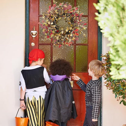 22 Inch Fall Wreath for Front Door Berry Autumn Wreath with Green and Purple Leaves, Large Grapevine Wreaths for Fall Door Decor Farmhouse Wall Window Home Decoration