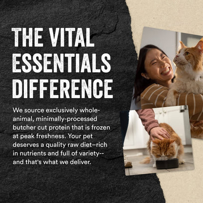 Vital Essentials Minnows Cat Treats, 0.5 oz | Freeze-Dried Raw | Single Ingredient | Grain Free, Gluten Free, Filler Free