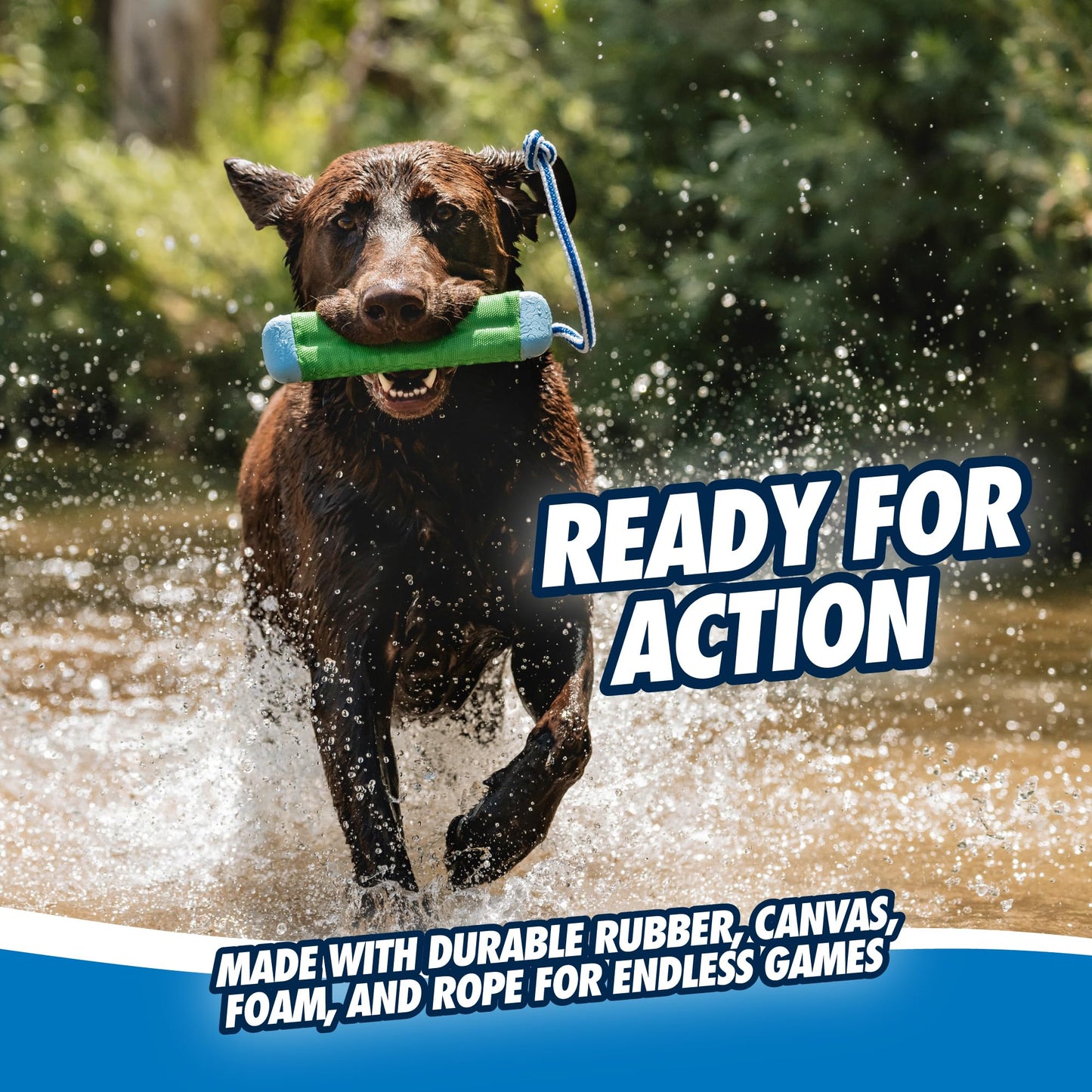 Chuckit! Amphibious Bumper Floating Fetch Dog Toy For Waterplay, Small For Dogs Up To 60 lb, 1.62"L x 8.5” H x 3.5" W, Assorted