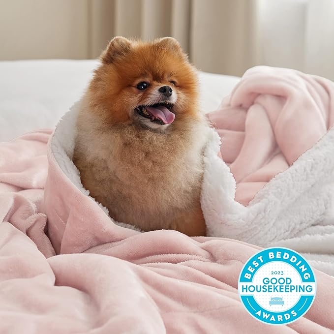 Bedsure GentleSoft Sherpa Fleece Throw Blanket Twin Size for Couch - Thick and Warm Throw for Girls, Soft Fuzzy Plush Twin Blanket for Winter, Pink, 60x80 Inches