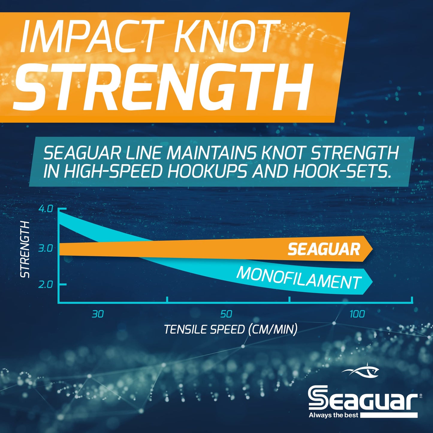 Seaguar Blue Label 100% Fluorocarbon Fishing Line Leader, 30lbs, 100yds Break Strength/Length - 30FC100