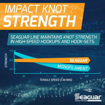 Seaguar Blue Label 100% Fluorocarbon Fishing Line Leader, 30lbs, 100yds Break Strength/Length - 30FC100