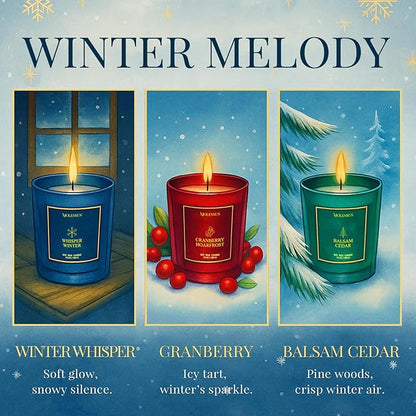 Winter Candles Gift Set, 3 Pack Total 30oz Soy Scented Candles in Luxury Gift Box, Christmas Birthday & Holiday Gifts for Women & Men, Long Lasting Non-Toxic Clean Burn, Winter Festive Home Decor
