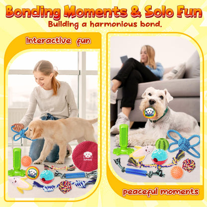 KIPRITII 25 Pack Various Puppy Dog Toys for Teething, Entertainment & Interaction, Puppy Chew Toys Pack with Rope Toy, Treat Balls and Dog Squeaky Toys for Puppies & Small Dogs