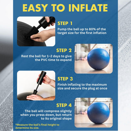 ProBody Pilates Exercise Ball - Multiple Sizes Gym Grade Balance Ball for Fitness, Workout, Pregnancy & Physical Therapy, Stability Yoga Ball Chair (Purple, 65cm)