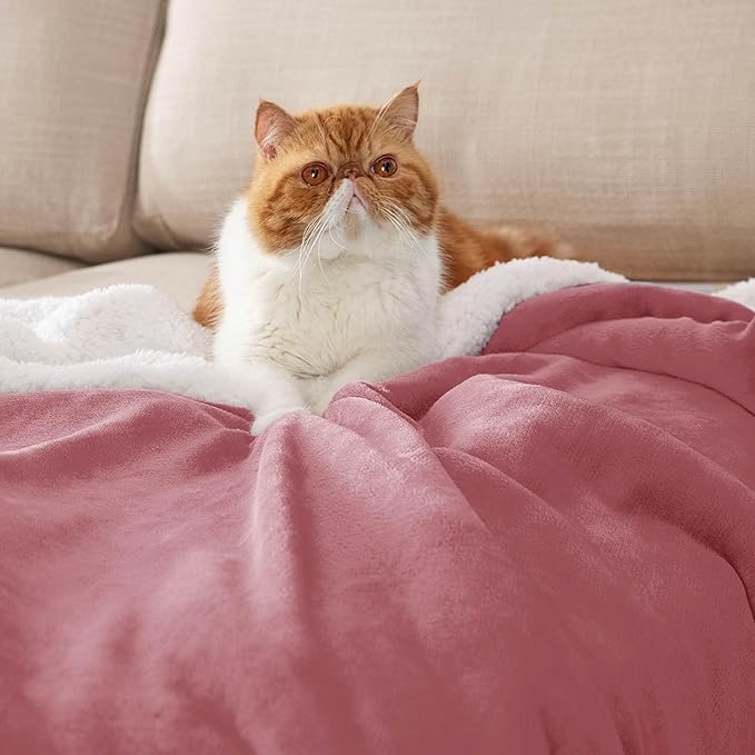 Bedsure GentleSoft Sherpa Fleece Throw Blanket Twin Size for Couch - Thick and Warm Throw for Women, Soft Fuzzy Plush Twin Blanket for Winter, Dusty Rose, 60x80 Inches