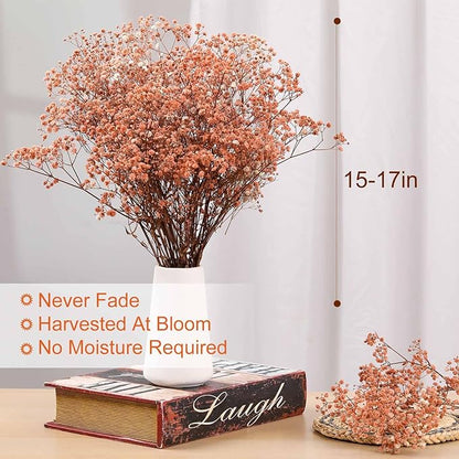 Babys Breath Dried Flowers Bouquet-17'' 4500+ Ivory Dry Flowers, Natural Gypsophila Branches for Wedding, Home Table Vase Decor, DIY Wreath Floral, Fall Thanksgiving Autumn Decoration (Brown, 5oz)