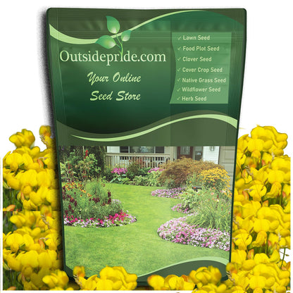 Outsidepride Perennial Birdsfoot Trefoil Seed - 10 lbs Nitrocoated, Inoculated, Winter Hardy, High Protein Forage Legume Seeds for Pasture, Hay, Silage Production & Livestock Grazing