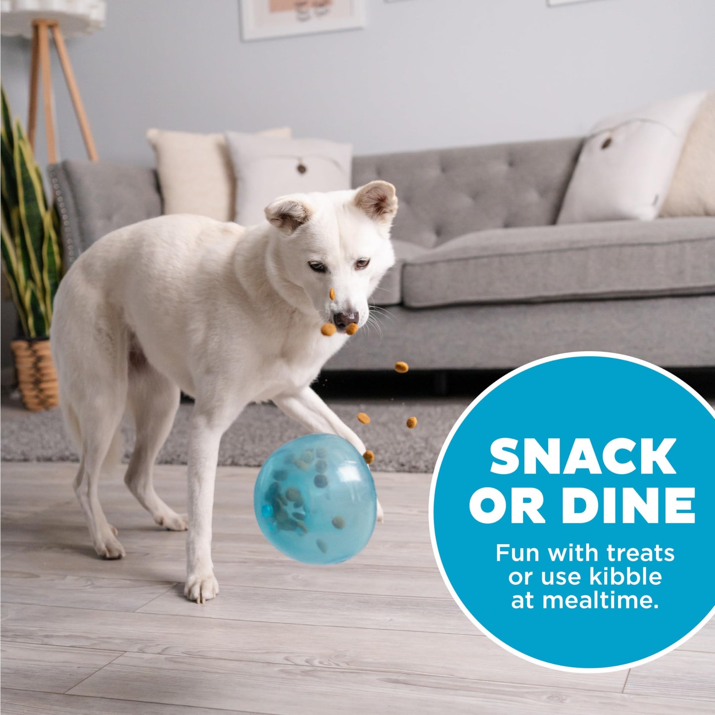 Outward Hound by Planet Dog Snoop Durable Interactive Treat Dispensing Dog Toy, Large, Blue