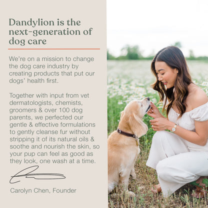 Dandylion Clean Paws | No-Rinse Dog Paw Cleaner & Puppy Paw Washer | Gentle, Fragrance-Free, pH Balanced Foaming Cleanser with Silicone Bristle Brush | Safe for All Dogs | 5 fl oz