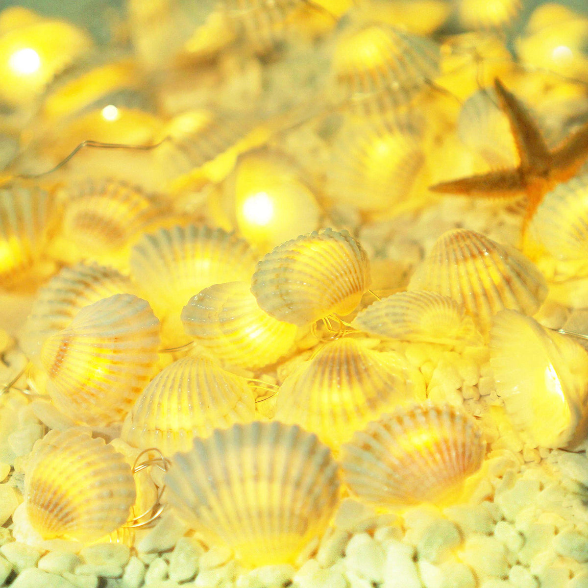 Cynzia Natural Seashells String Lights, 40LED Beach Decoration USB Plug in with 8 Modes Remote Control, Waterproof Ocean Fairy Lights for Bedroom Party Indoor Outdoor Wedding Holiday Christmas