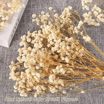 Babys Breath Dried Flowers Bouquet-17'' 3000+ Dry Flowers, Natural Gypsophila Branches for Wedding, Home Table Vase Decor, DIY Wreath Floral, Fall Thanksgiving Autumn Decoration (Ivory White, 3oz)