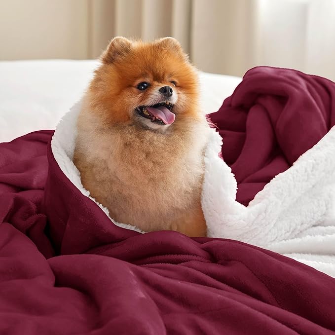 Bedsure GentleSoft Sherpa Fleece Blankets Queen Size for Bed - Thick and Warm Throw for Women, Soft Fuzzy Plush Queen Christmas Blanket for Winter, Burgundy, 90x90 Inches