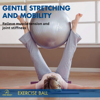 ProBody Pilates Exercise Ball - Multiple Sizes Gym Grade Balance Ball for Fitness, Workout, Pregnancy & Physical Therapy, Stability Yoga Ball Chair (Black, 65 cm)