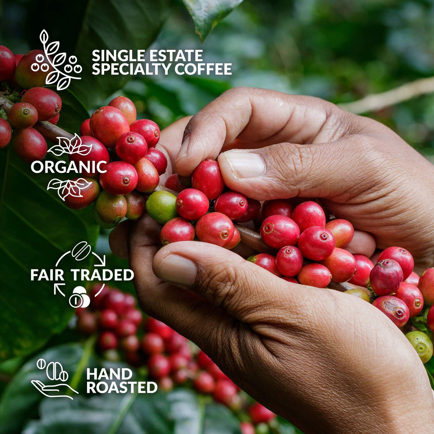 Original Gourmet Coffee Gift Set for Men & Women - 7 World's Finest Single Origin Specialty & Organic Coffees in Innovative Brewers | Sampler Box for Coffee Lover to Brew & Enjoy Anytime, Anywhere