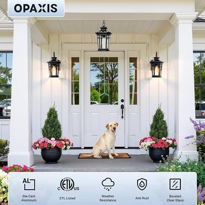 Large 9'' Outdoor Porch Light Wall Mount, Black Outdoor Wall Lantern Dusk to Dawn, Waterproof Exterior Light Fixture with Beveled Glass, Exterior Sconce Light for House, Coach Lights for Garage