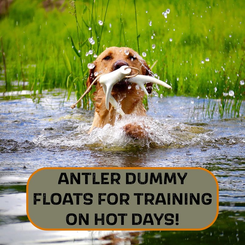 DogBone Shed Dog Training Dummy (White) | Dog Training Kit | Hunting Dog Accessories | Dog Training Tools | Dog Scent Training Kit | Scent Training for Dogs | Hunting Dog Toys